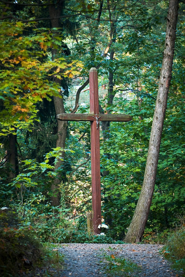 krzyż w Lesie Bronaczowa