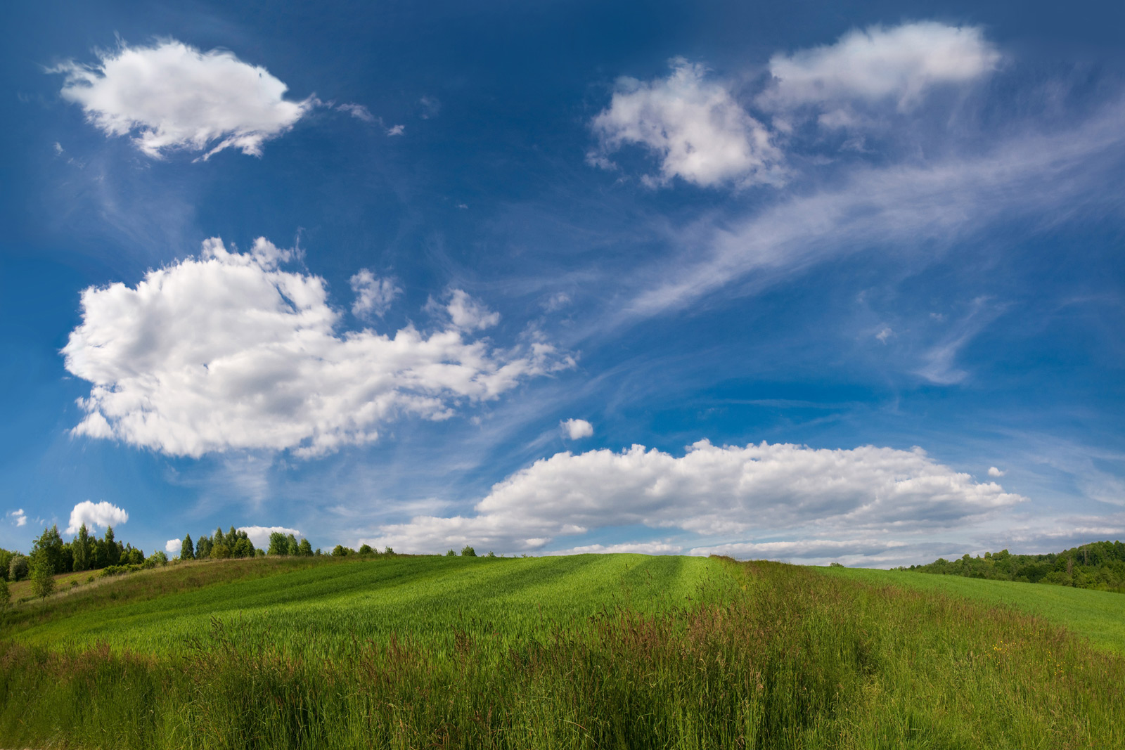pola we wsi Lusinia w Gminie Mogilany wiosną przy malowniczym niebie z chmurami