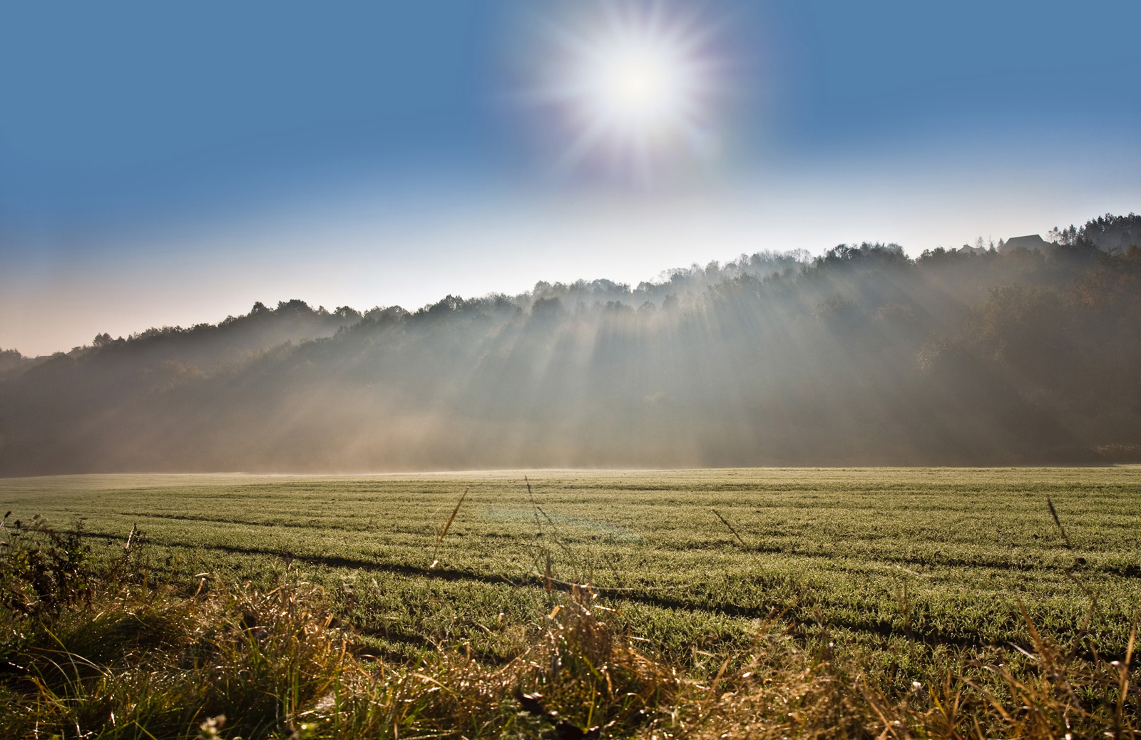 malownicza poranna mgła jesienią na polach i łąkach w Mogilanach