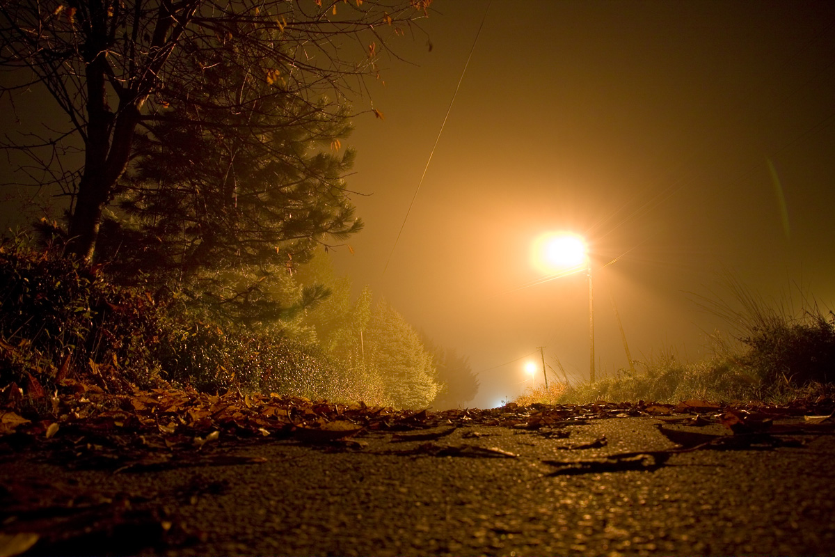 mgła jesienna nocą pod Krakowem, opadłe liście na drodze