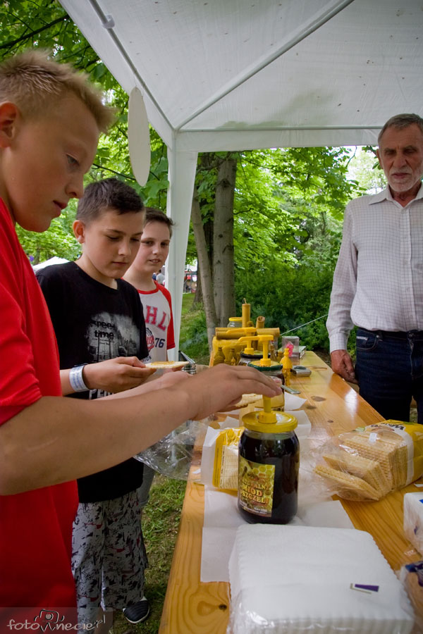 Darmowy poczęstunek miodem pszczelim na majówce mogilańskkiej 2016