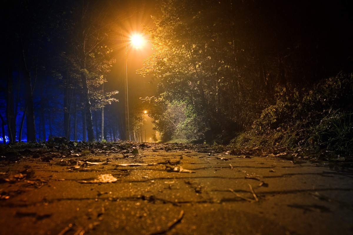 leko zamglona alejka spacerowa w Mogilanach w jesienną noc