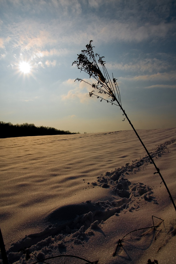 Mogilany zimą - Jaworowa  - śnieg jak piasek na plaży