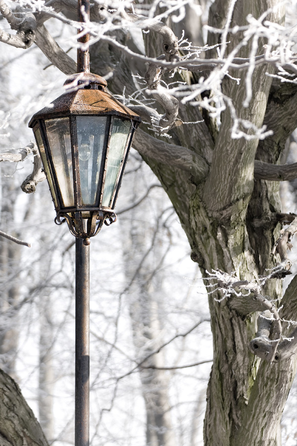 lampa w parku zimą