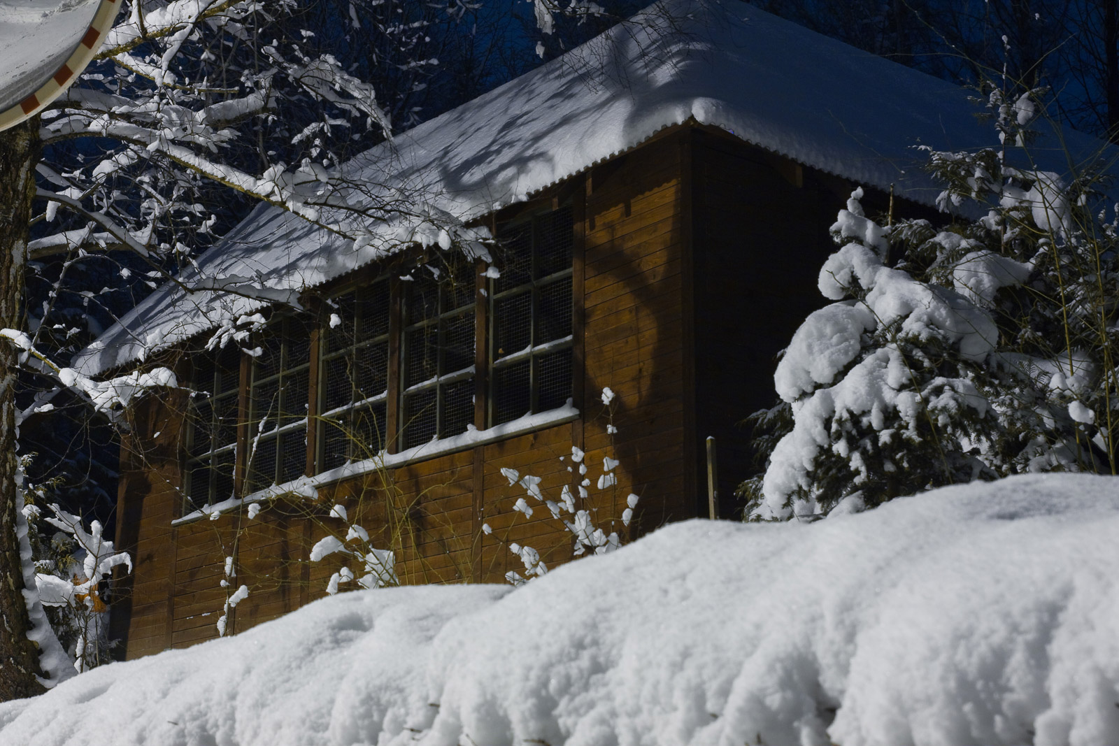 zima w Mogilanach, szklarnia pokryta śniegiem po pierwszych opadach