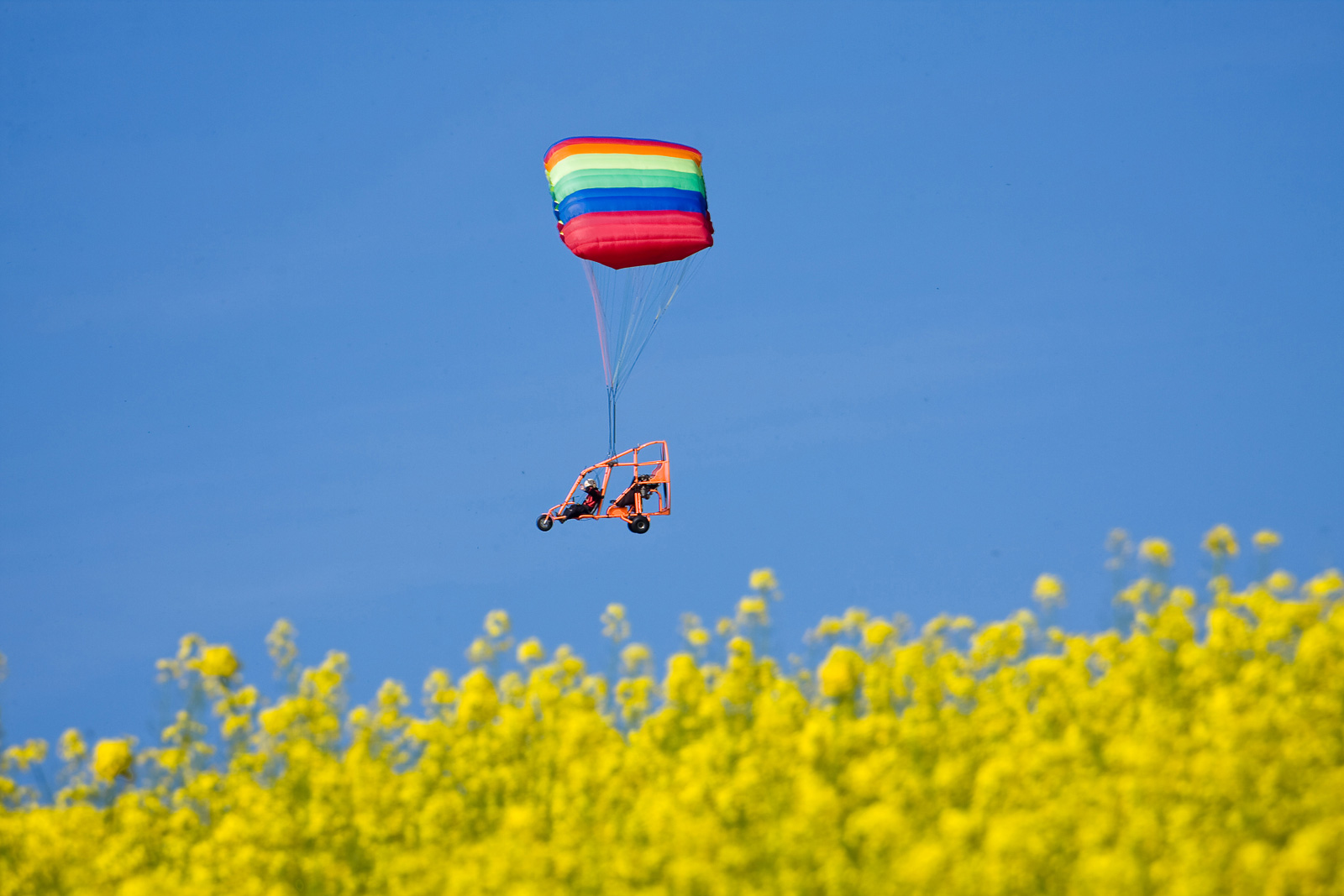 motolotniarz z pozdrowieniami nad polem rzepaku wiosną