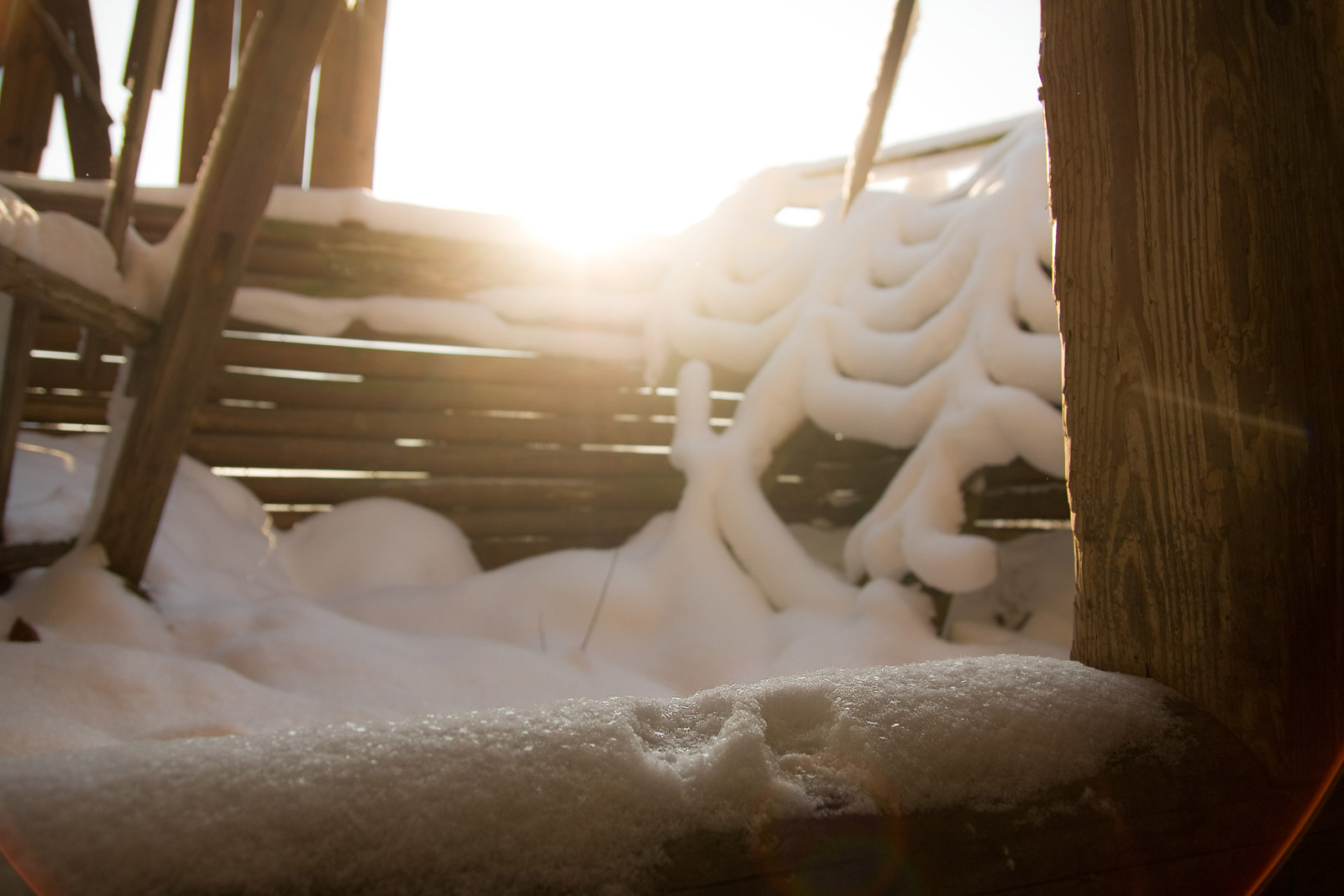 ślady leśnych gości w opuszczonej stodole zimą