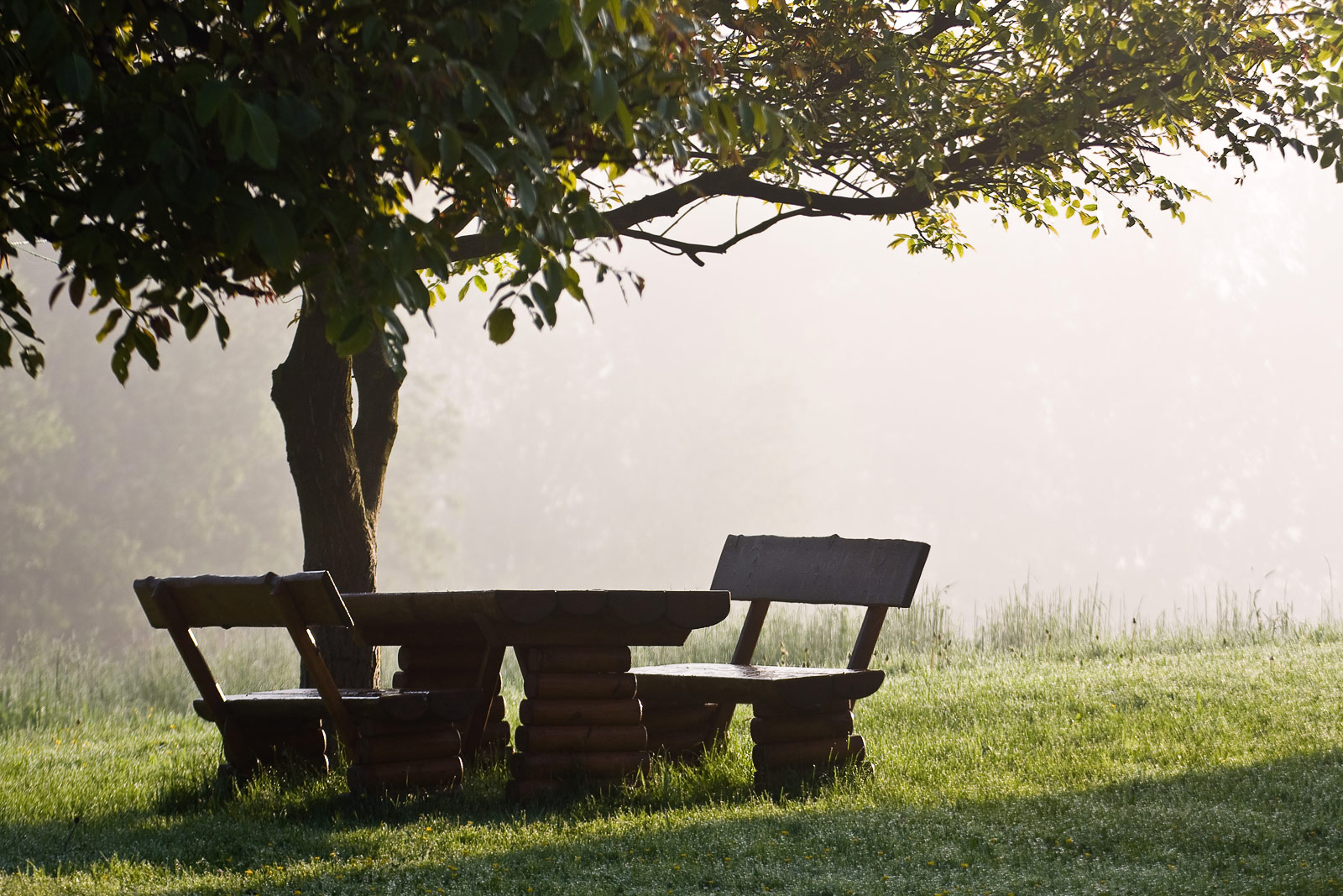 poranna mgła w ogrodzie przy ławeczkach i stoliku