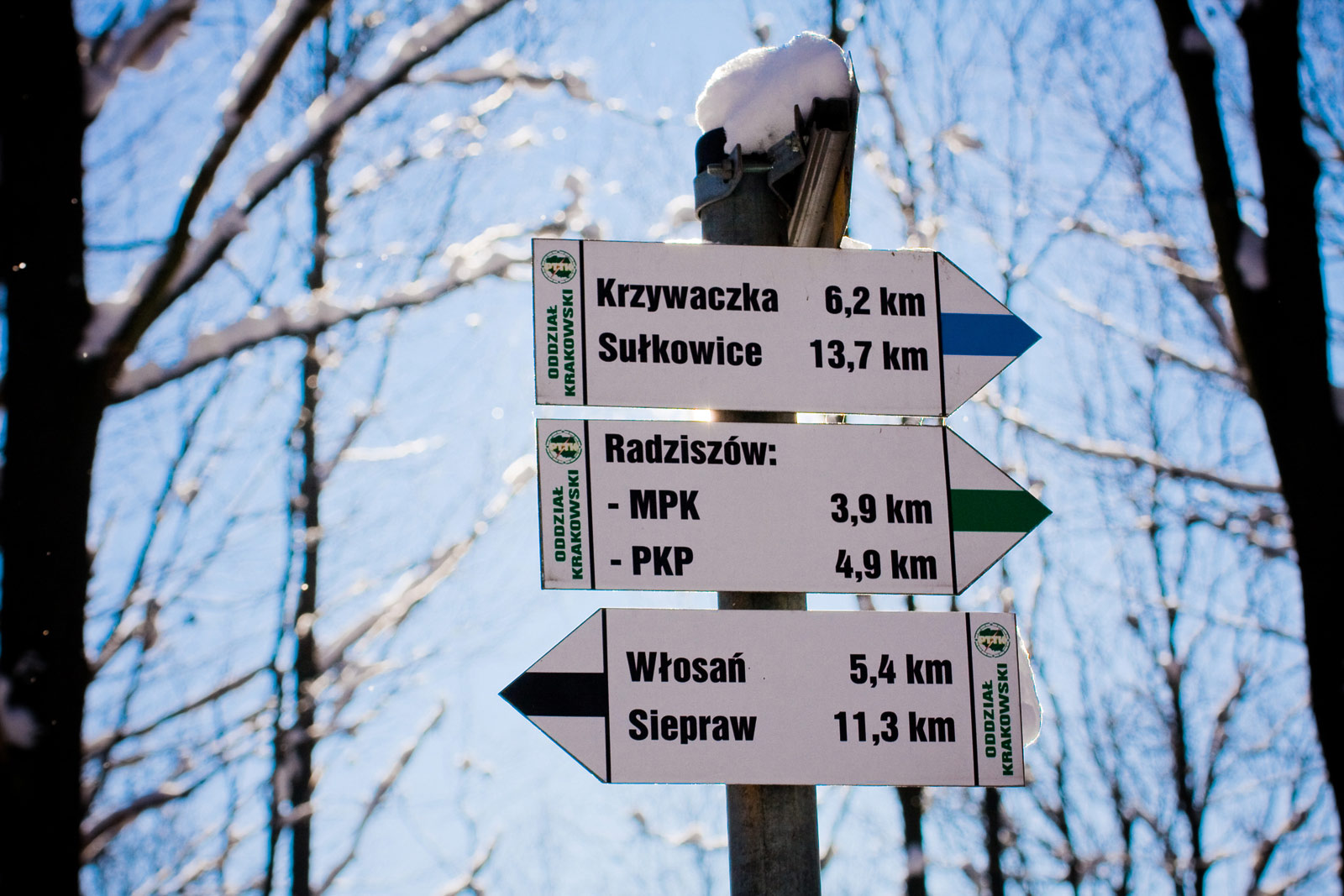 tutystyka piesza przez Bronaczową w pobliżu wsi Mogilany, Radziszów i Głogoczów