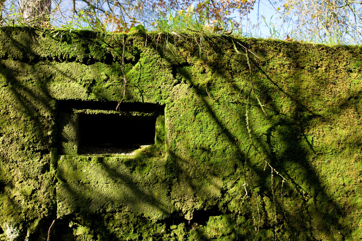 abandoned green wall