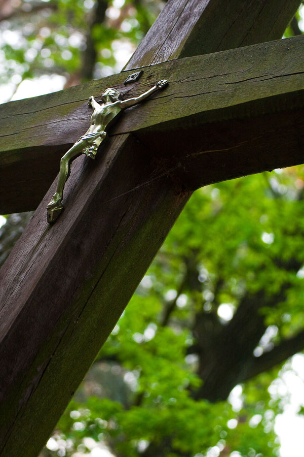 krzyż w lesie Bronaczowa
