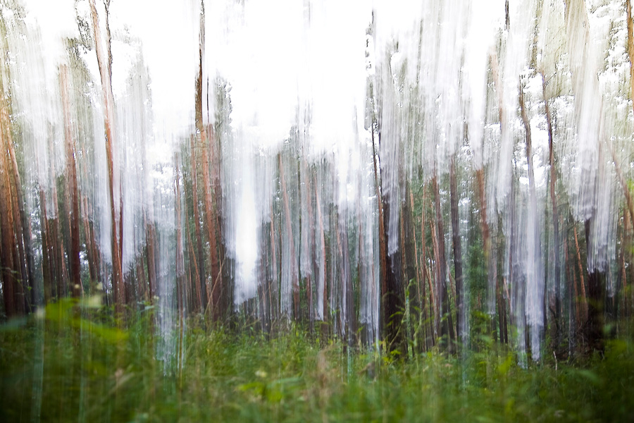 long exposure forest