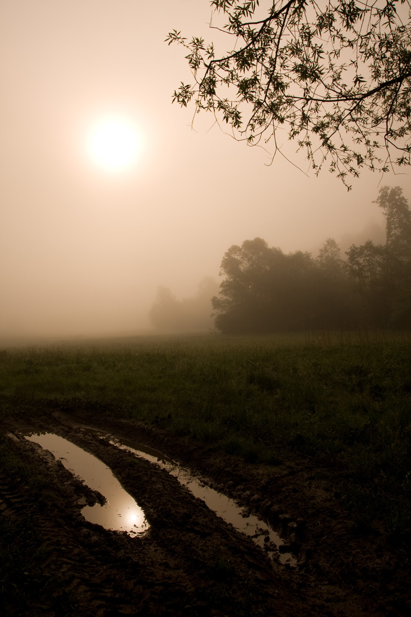 mgły w Małopolsce