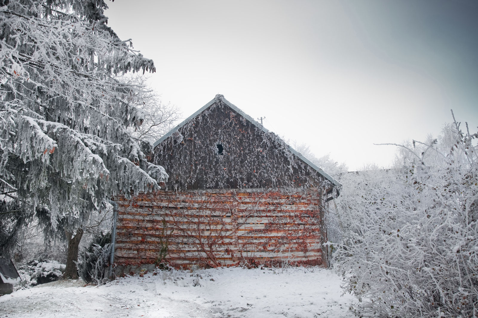 szron na elewacji drewnianego wiejskliego domu w Mogilanach zimową mroźną porą