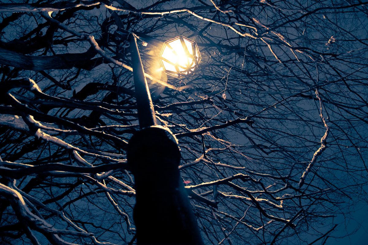 lampa w parku mogilańskim w zimowy wieczór