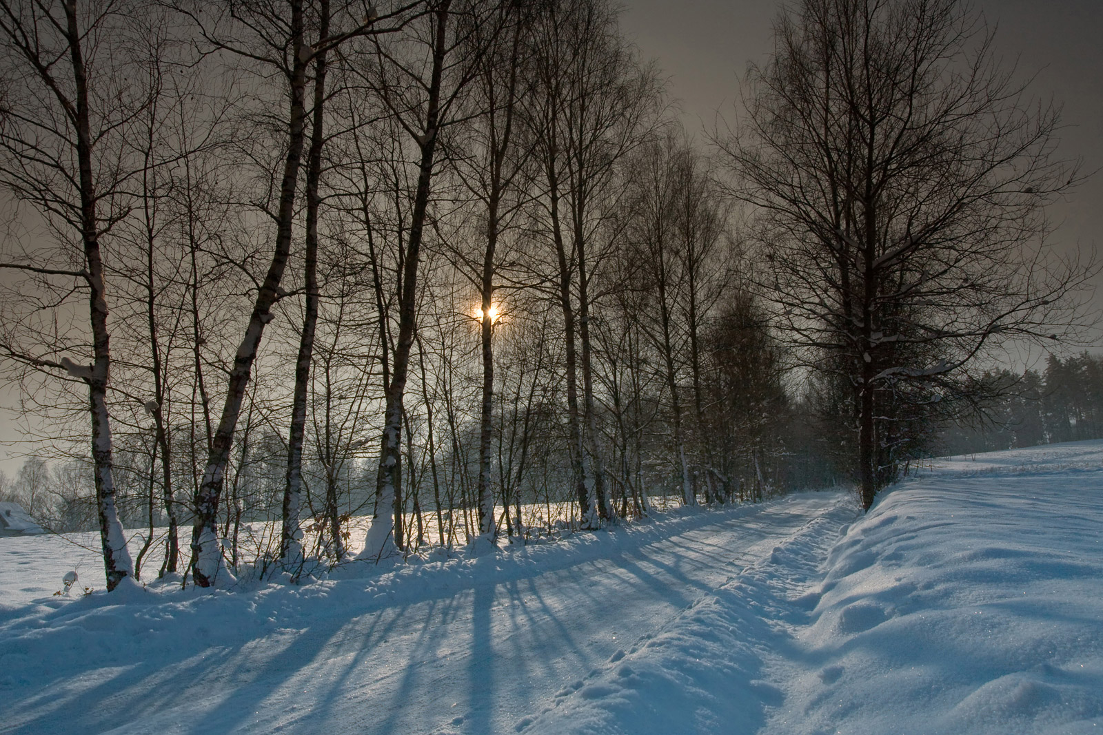 alejka pod Lasem Bronaczowa w Mogilanach zimą